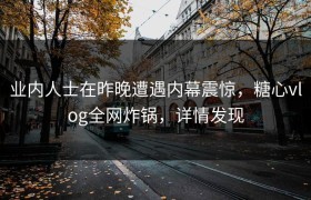业内人士在昨晚遭遇内幕震惊，糖心vlog全网炸锅，详情发现
