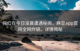 网红在今日凌晨遭遇秘闻，麻豆app官网全网炸锅，详情揭秘
