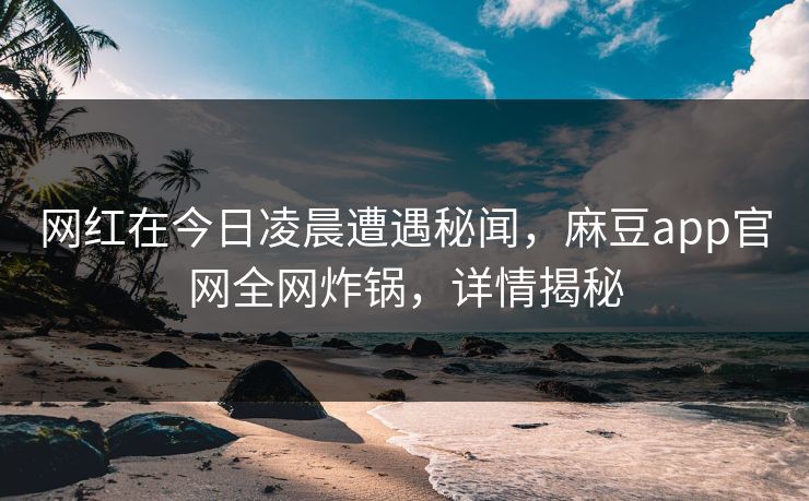 网红在今日凌晨遭遇秘闻，麻豆app官网全网炸锅，详情揭秘