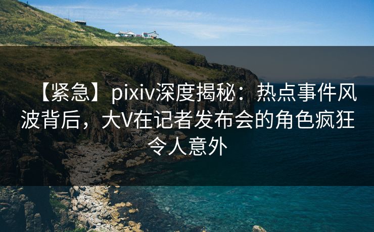 【紧急】pixiv深度揭秘：热点事件风波背后，大V在记者发布会的角色疯狂令人意外