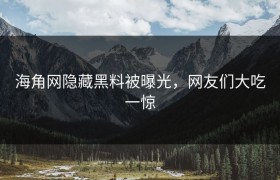 海角网隐藏黑料被曝光，网友们大吃一惊