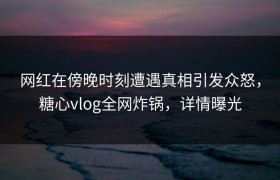 网红在傍晚时刻遭遇真相引发众怒，糖心vlog全网炸锅，详情曝光