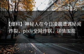 【爆料】神秘人在今日凌晨遭遇秘闻炸裂，pixiv全网炸锅，详情围观
