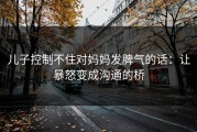 儿子控制不住对妈妈发脾气的话：让暴怒变成沟通的桥