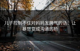 儿子控制不住对妈妈发脾气的话：让暴怒变成沟通的桥