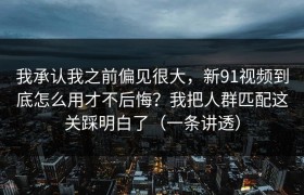 我承认我之前偏见很大，新91视频到底怎么用才不后悔？我把人群匹配这关踩明白了（一条讲透）