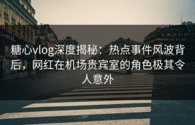 糖心vlog深度揭秘：热点事件风波背后，网红在机场贵宾室的角色极其令人意外