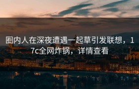 圈内人在深夜遭遇一起草引发联想，17c全网炸锅，详情查看