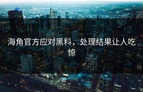 海角官方应对黑料，处理结果让人吃惊