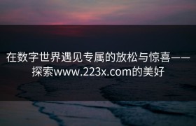 在数字世界遇见专属的放松与惊喜——探索www.223x.com的美好