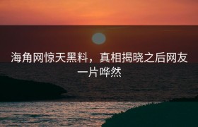 海角网惊天黑料，真相揭晓之后网友一片哗然