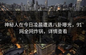 神秘人在今日凌晨遭遇八卦曝光，91网全网炸锅，详情查看