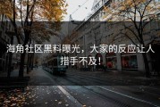 海角社区黑料曝光，大家的反应让人措手不及！
