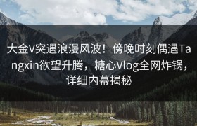 大金V突遇浪漫风波！傍晚时刻偶遇Tangxin欲望升腾，糖心Vlog全网炸锅，详细内幕揭秘