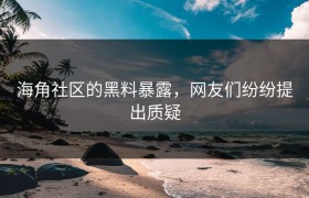 海角社区的黑料暴露，网友们纷纷提出质疑