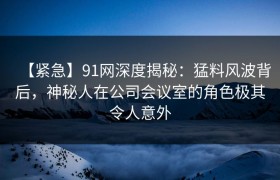 【紧急】91网深度揭秘：猛料风波背后，神秘人在公司会议室的角色极其令人意外