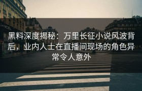黑料深度揭秘：万里长征小说风波背后，业内人士在直播间现场的角色异常令人意外