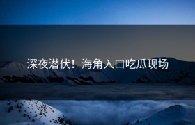 深夜潜伏！海角入口吃瓜现场
