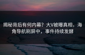 揭秘背后有何内幕？大V被曝真相，海角导航刷屏中，事件持续发酵