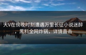 大V在傍晚时刻遭遇万里长征小说迷醉，黑料全网炸锅，详情直击