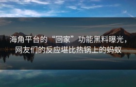 海角平台的“回家”功能黑料曝光，网友们的反应堪比热锅上的蚂蚁