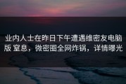 业内人士在昨日下午遭遇维密友电脑版 窒息，微密圈全网炸锅，详情曝光