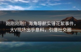 刚刚刚刚！海角导航实锤花絮事件，大V现场出乎意料，引爆社交圈