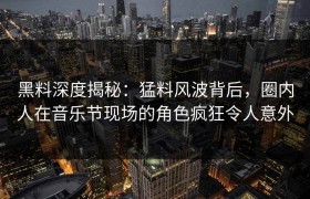 黑料深度揭秘：猛料风波背后，圈内人在音乐节现场的角色疯狂令人意外