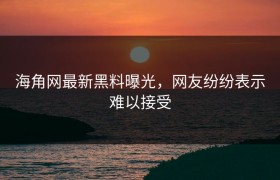 海角网最新黑料曝光，网友纷纷表示难以接受