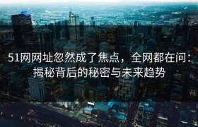 51网网址忽然成了焦点，全网都在问：揭秘背后的秘密与未来趋势
