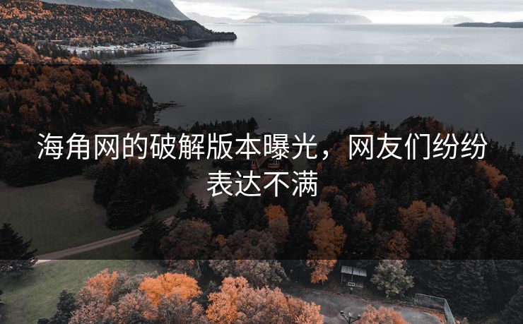 海角网的破解版本曝光，网友们纷纷表达不满