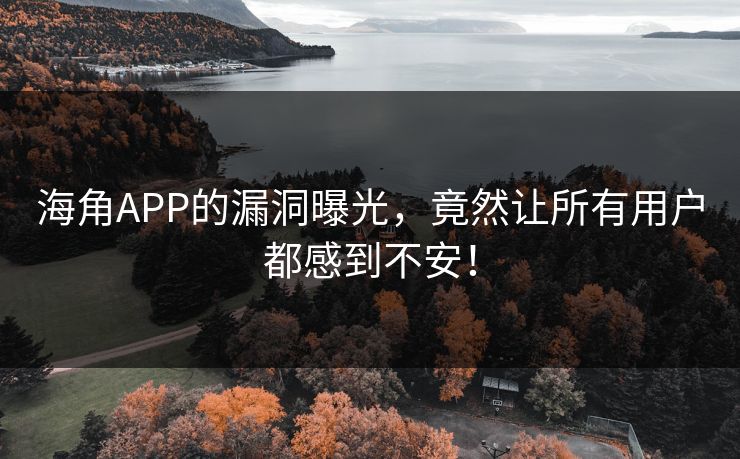 海角APP的漏洞曝光，竟然让所有用户都感到不安！