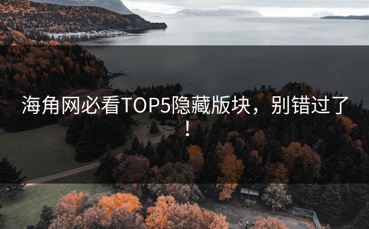 海角网必看TOP5隐藏版块，别错过了！