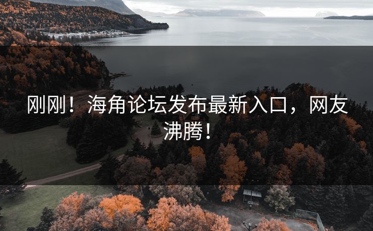刚刚！海角论坛发布最新入口，网友沸腾！