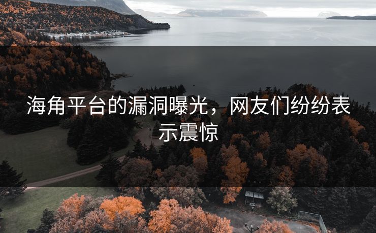 海角平台的漏洞曝光，网友们纷纷表示震惊