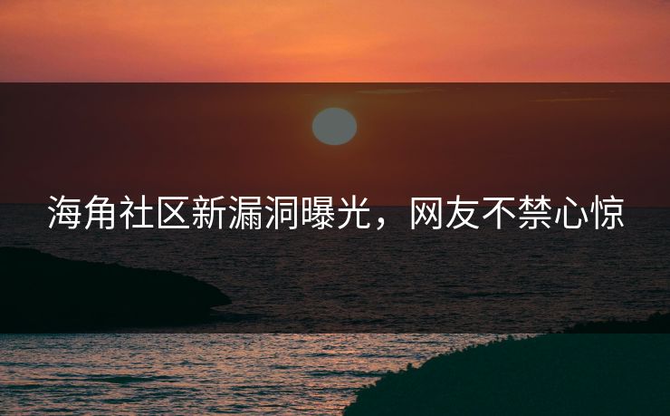 海角社区新漏洞曝光，网友不禁心惊