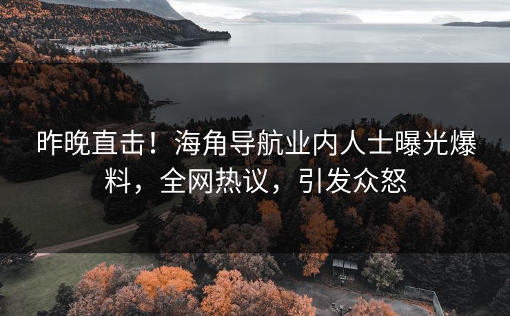 昨晚直击！海角导航业内人士曝光爆料，全网热议，引发众怒