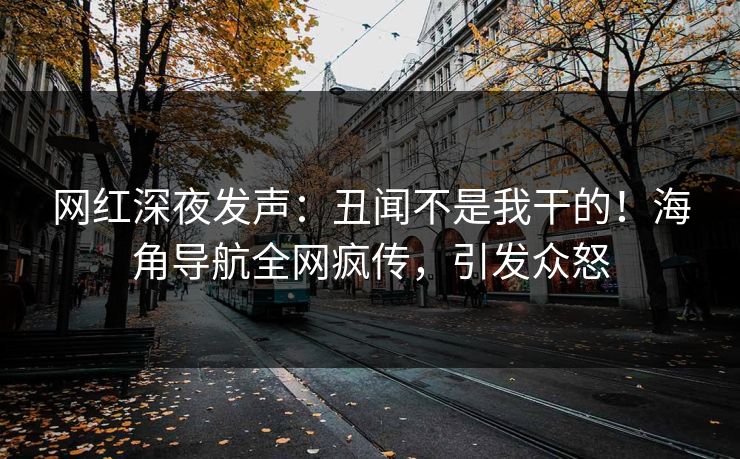 网红深夜发声：丑闻不是我干的！海角导航全网疯传，引发众怒