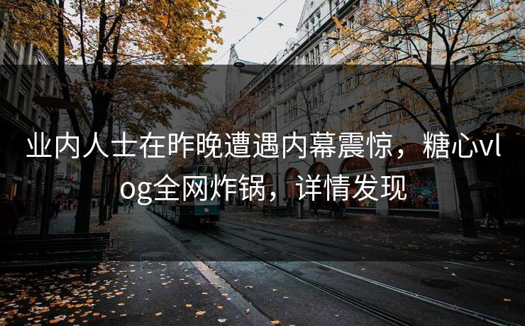 业内人士在昨晚遭遇内幕震惊，糖心vlog全网炸锅，详情发现