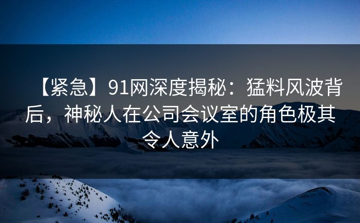 【紧急】91网深度揭秘：猛料风波背后，神秘人在公司会议室的角色极其令人意外