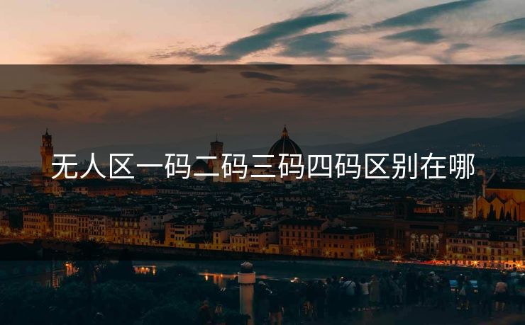 无人区一码二码三码四码区别在哪