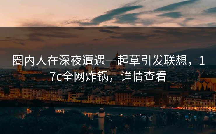 圈内人在深夜遭遇一起草引发联想，17c全网炸锅，详情查看