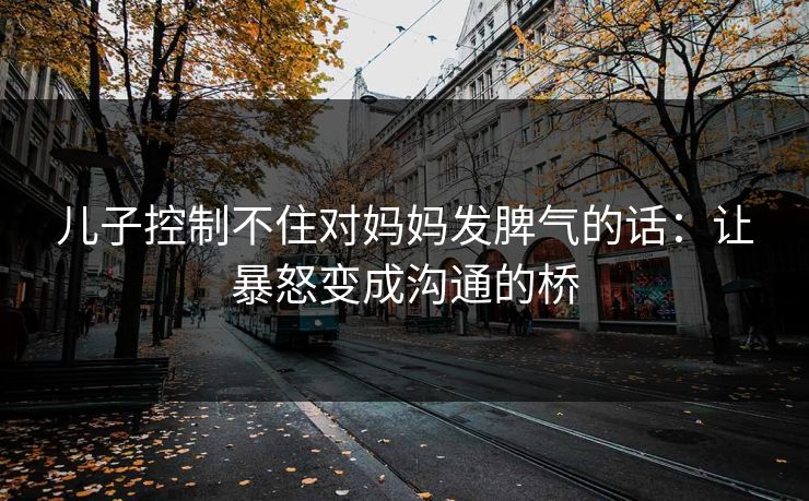 儿子控制不住对妈妈发脾气的话：让暴怒变成沟通的桥