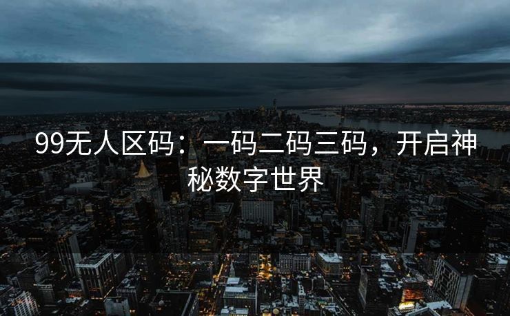 99无人区码：一码二码三码，开启神秘数字世界