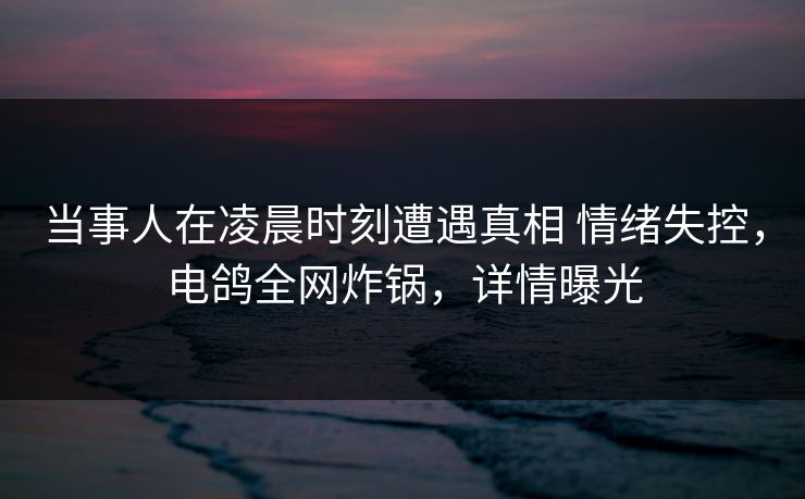 当事人在凌晨时刻遭遇真相 情绪失控，电鸽全网炸锅，详情曝光