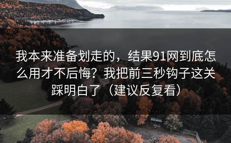 我本来准备划走的，结果91网到底怎么用才不后悔？我把前三秒钩子这关踩明白了（建议反复看）